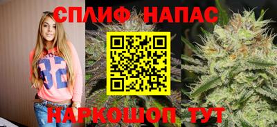 дмт Будённовск
