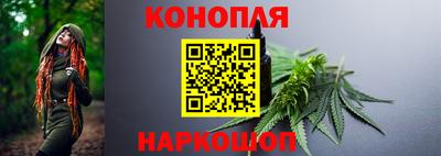 дмт Будённовск