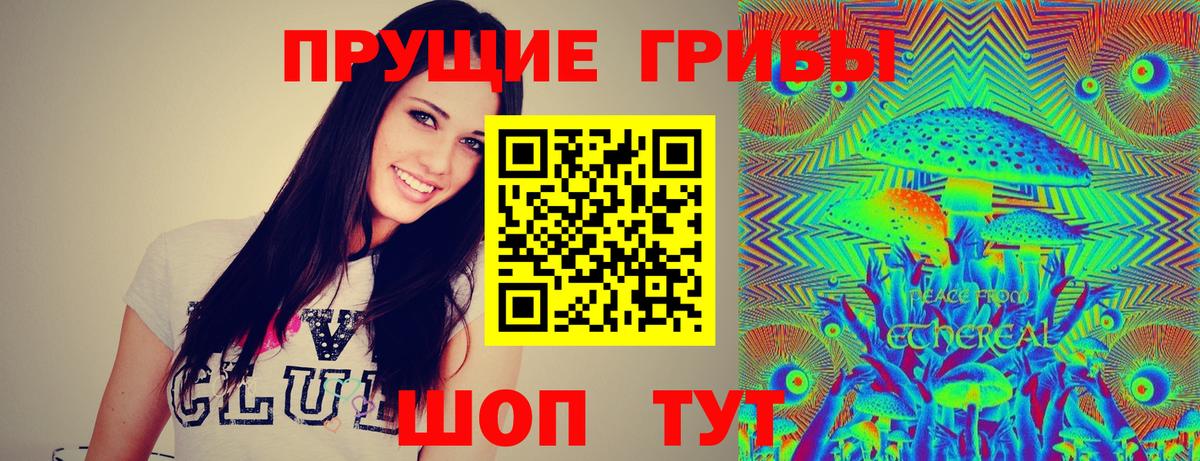 Галлюциногенные грибы Cubensis  Псилоцибиновые грибы прущие грибы  Топки  Вход с VPN 
