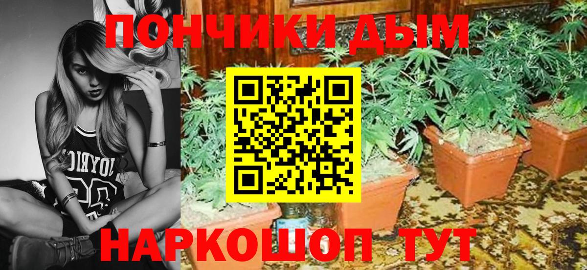 Канабис планчик  Канабис планчик  Топки  Вход с VPN  Марихуана ГИДРОПОН 